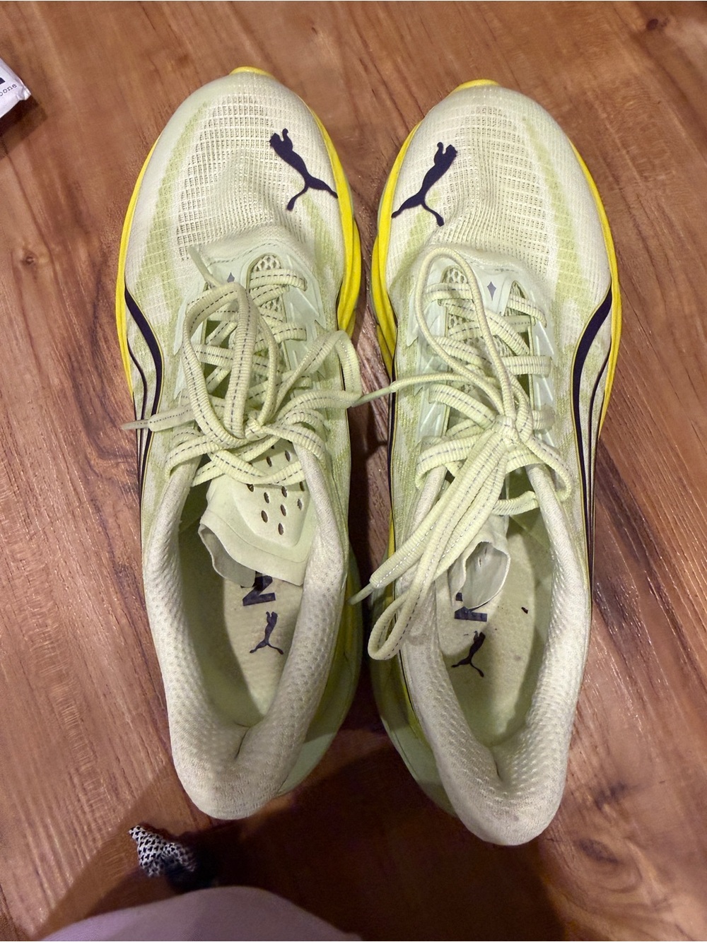 Puma deviate nitro 4
